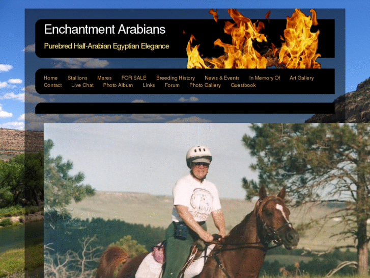 www.enchantmentarabians.net