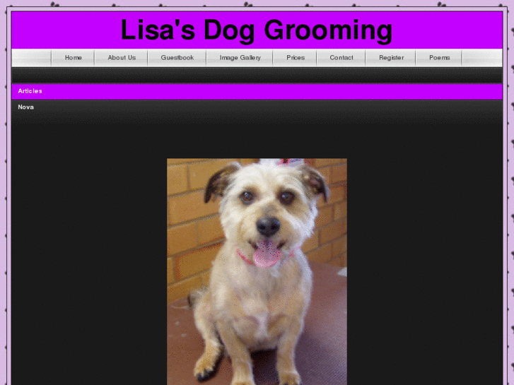 www.lisasdoggrooming.com