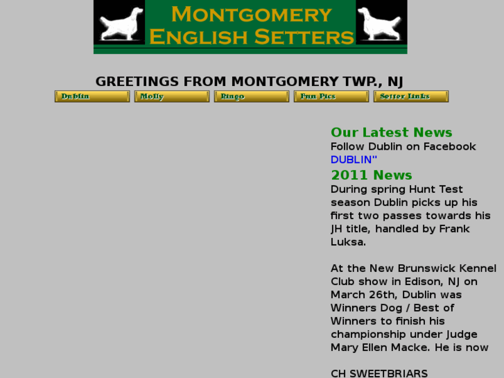 www.montgomerysetters.com