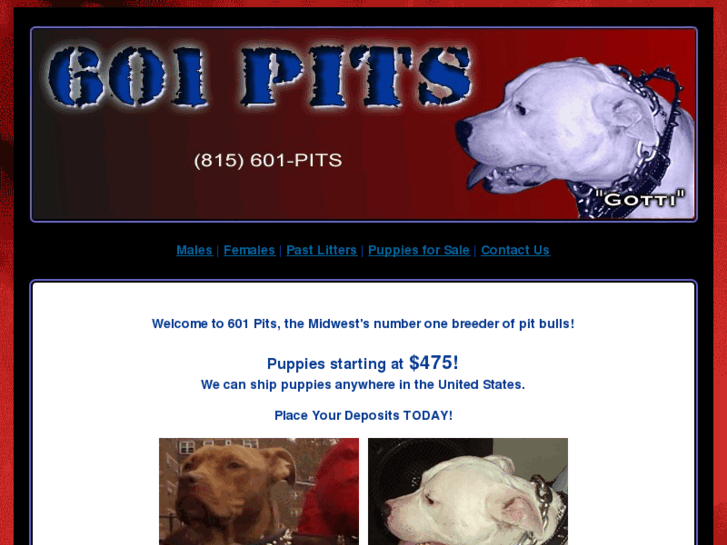 www.601pits.com