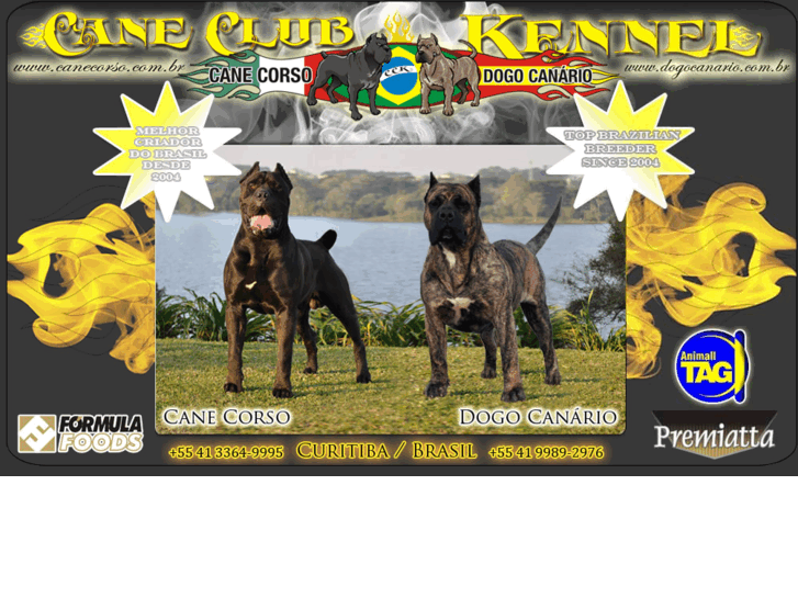 www.dogocanario.com.br