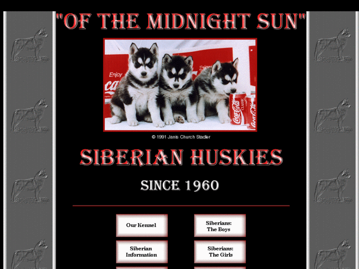www.ofthemidnightsunsiberianhuskies.com