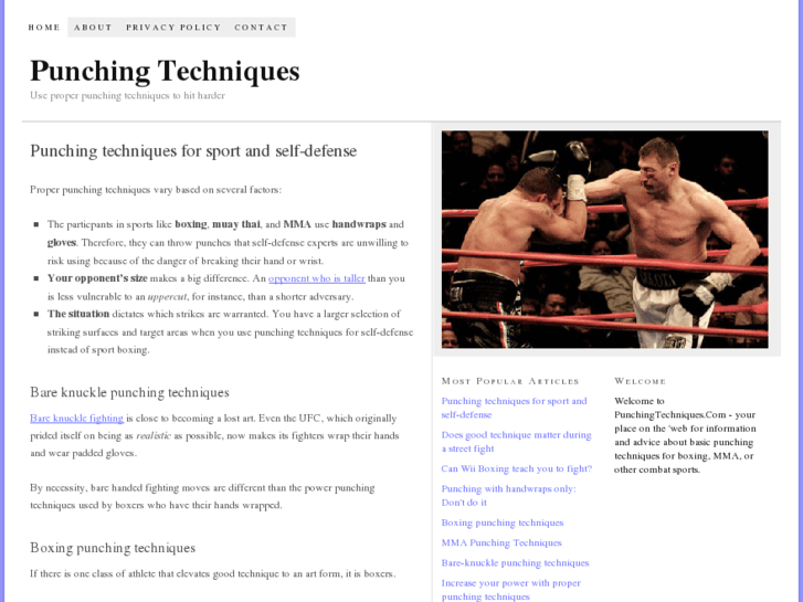 www.punchingtechniques.com