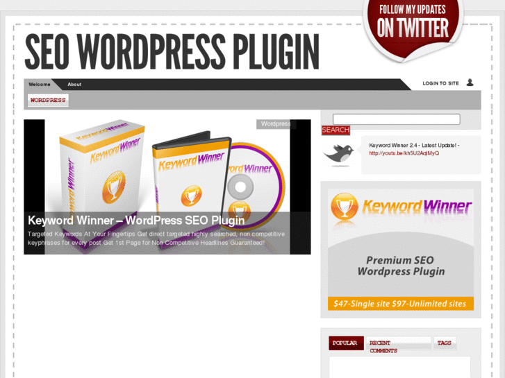 www.seowordpressplugin.net