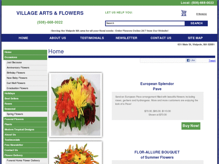 www.villageartsandflowers.com