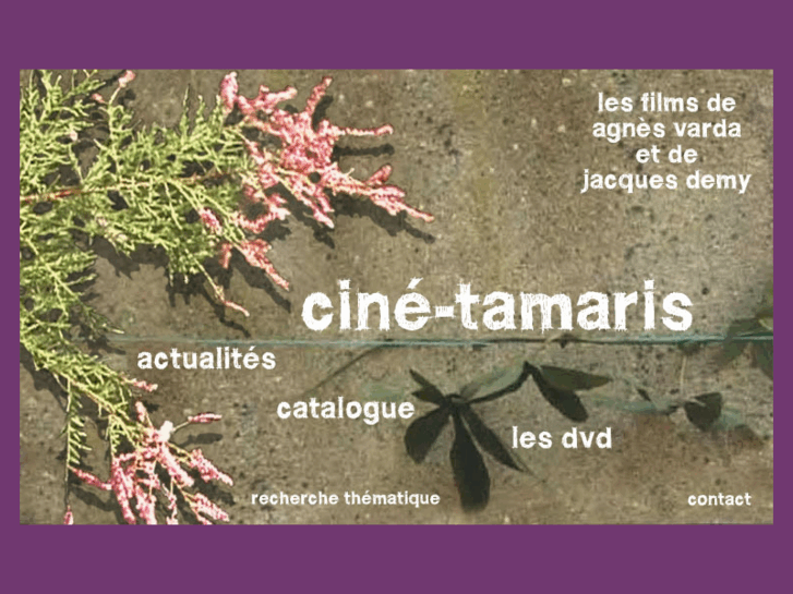 www.cine-tamaris.com