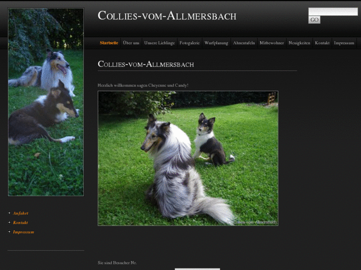 www.collies-vom-allmersbach.de