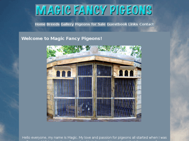 www.magicfancypigeons.com