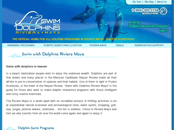 www.swimwithdolphinsmayanriviera.com