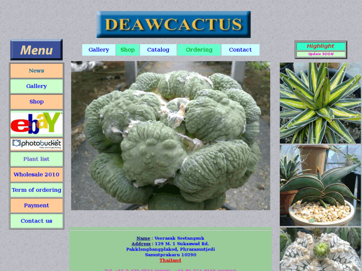 www.deawcactus.com