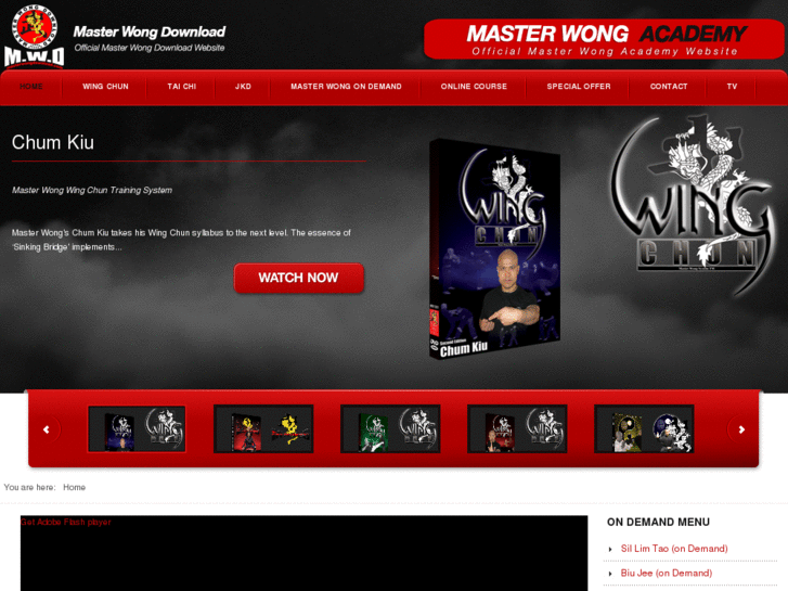 www.masterwongdownload.com