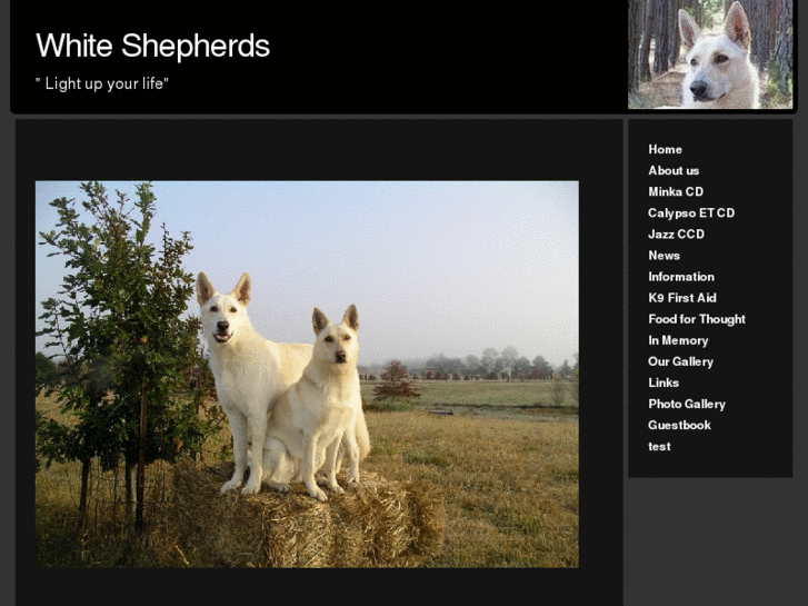 www.mywhiteshepherds.com