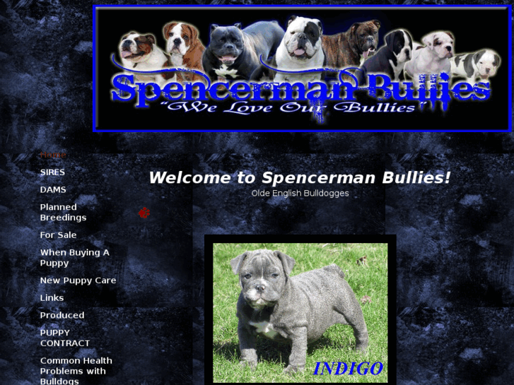 www.spencermanbullies.com