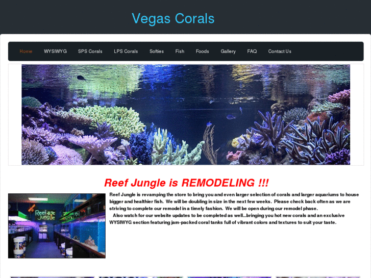 www.vegascorals.com