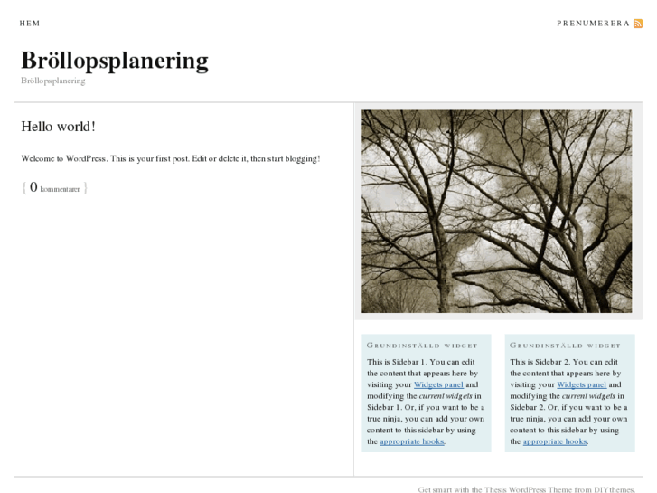 www.xn--brllopsplanering-nwb.com