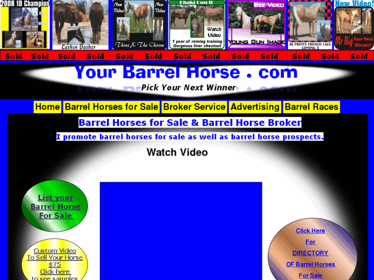 www.yourbarrelhorse.com