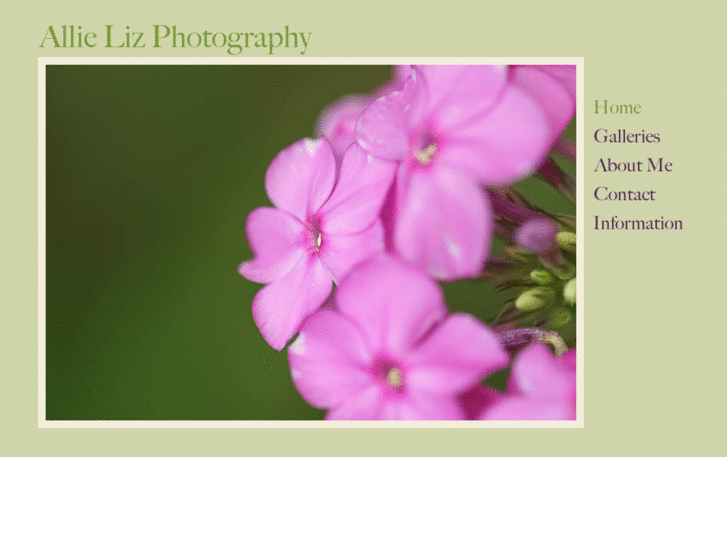 www.allielizphotography.com
