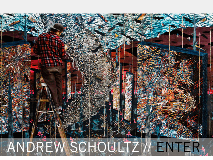 www.andrewschoultz.com