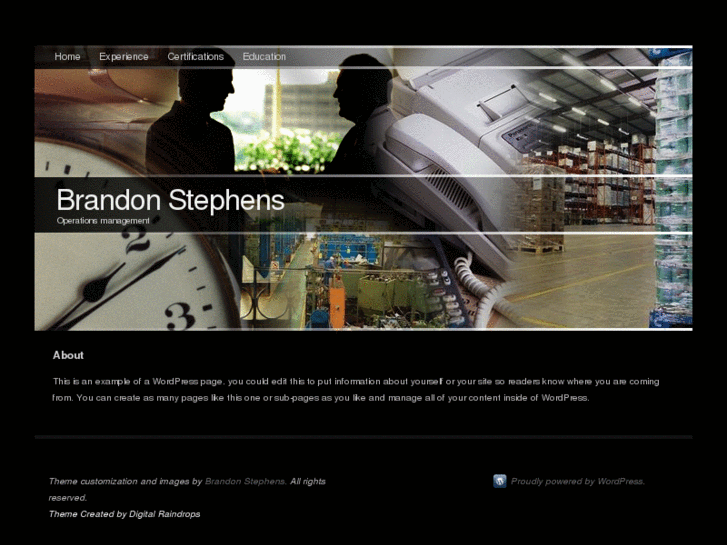 www.brandonstephens.net