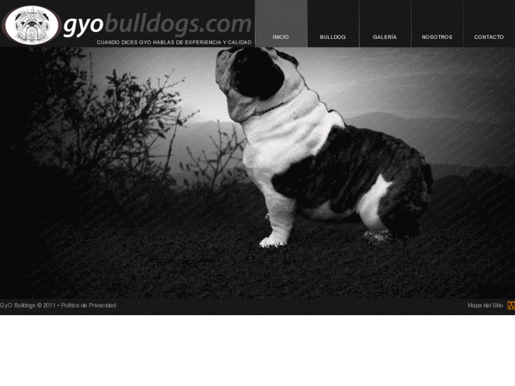 www.bulldogdiario.com