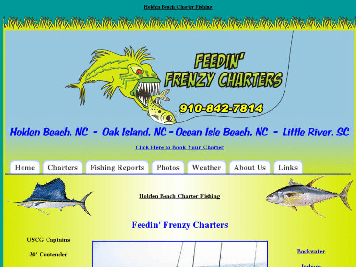 www.feedinfrenzycharters.com