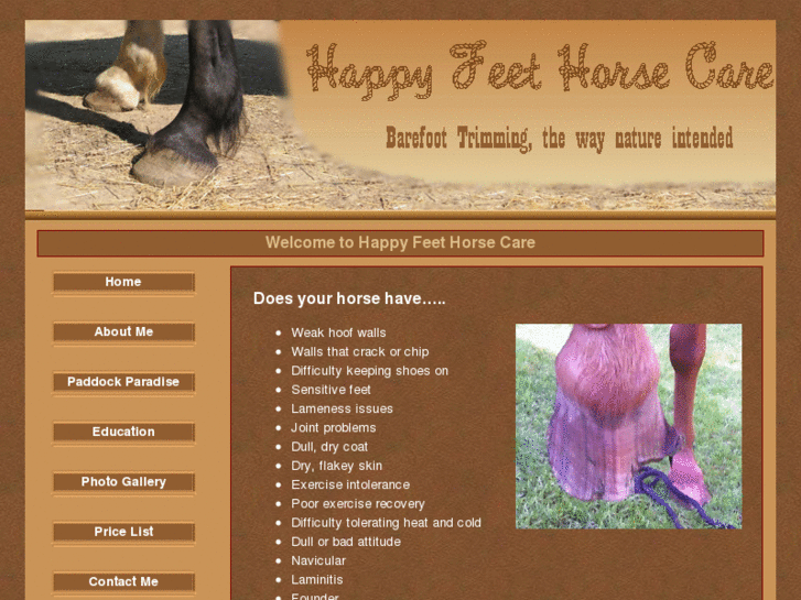 www.happyfeethorsecare.com