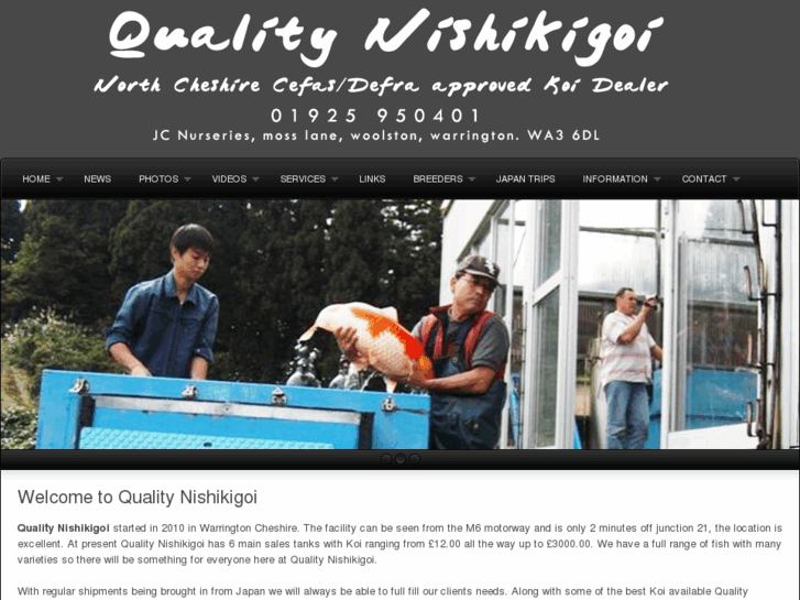 www.qualitynishikigoi.com