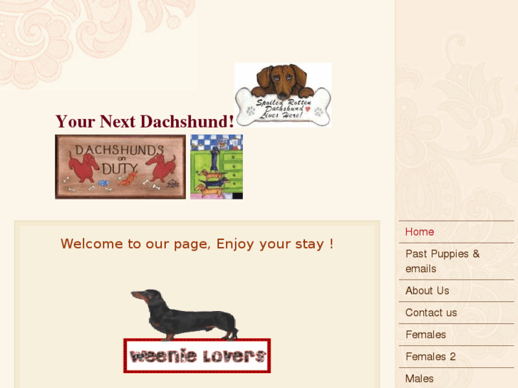 www.yournextdachshund.com