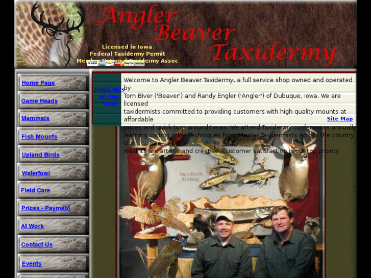 www.anglerbeavertaxidermy.com