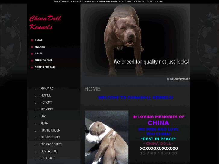 www.chinadollkennels.com