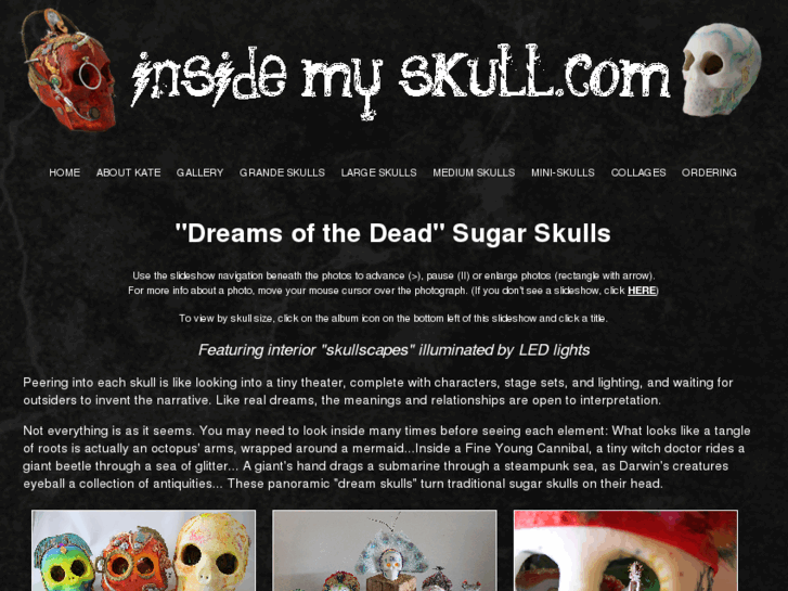 www.insidemyskull.com