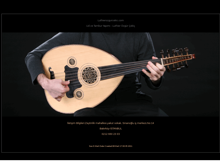 www.luthierozgurcekic.com