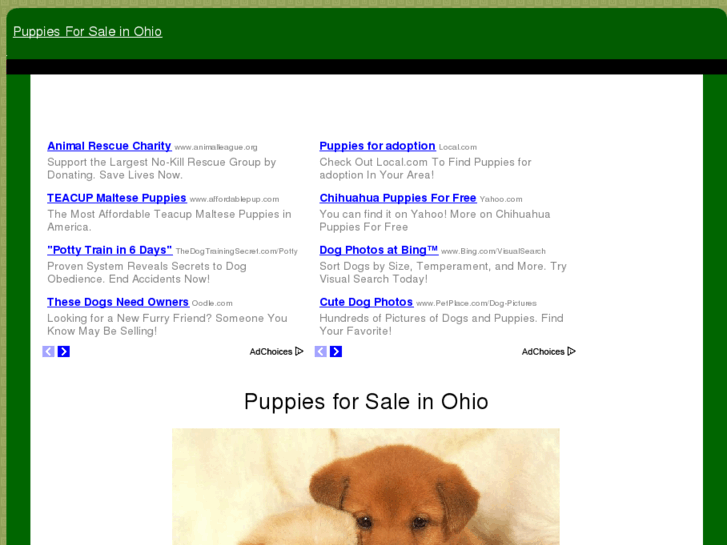 www.puppiesforsaleinohio.com