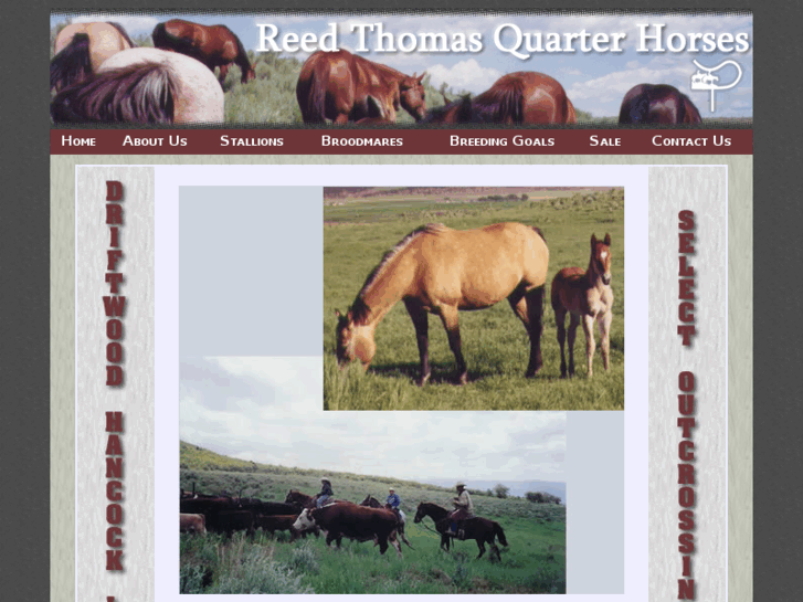 www.reedthomasquarterhorses.com