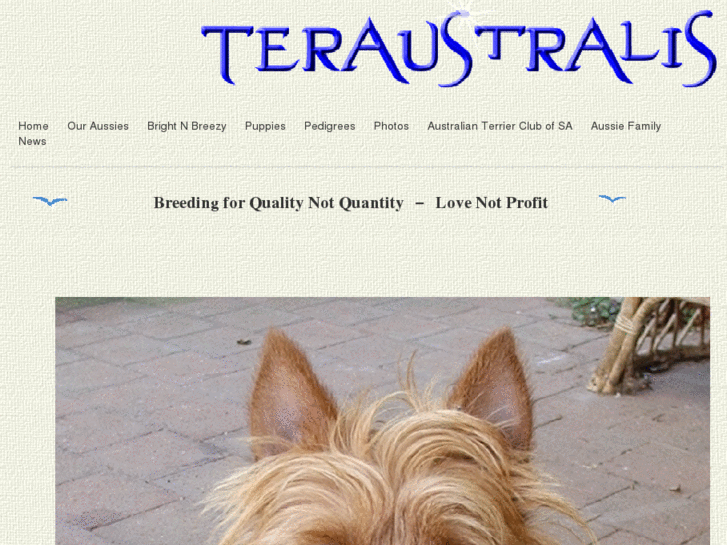 www.teraustralis.com