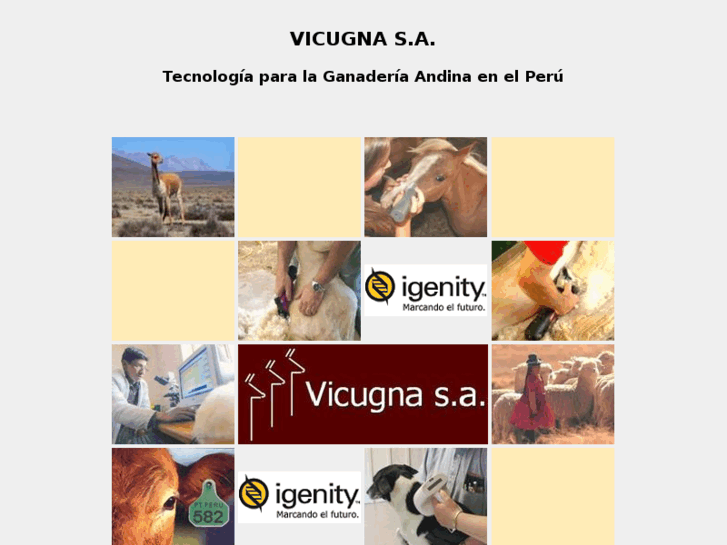 www.vicugna-sa.com