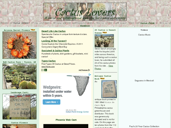 www.cactuslovers.com