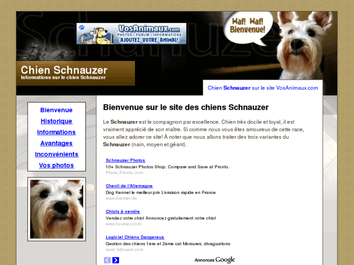 www.chienschnauzer.com