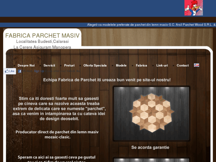 www.fabrica-parchet-masiv.ro