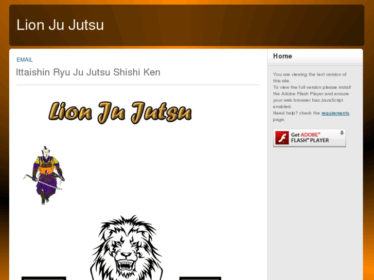 www.lionjujutsu.com