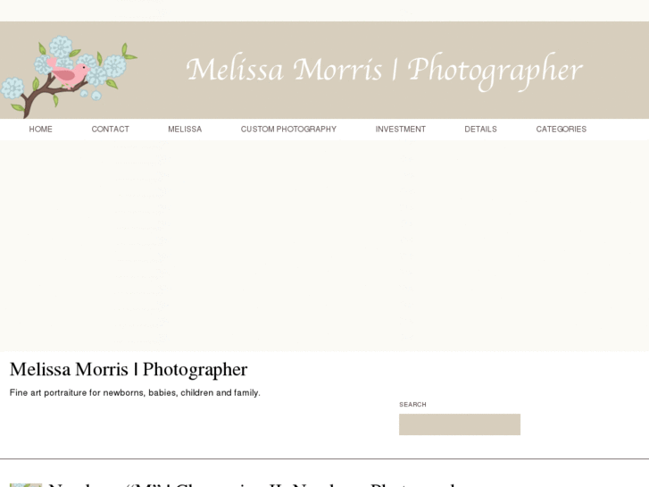 www.melissamorrismm.com