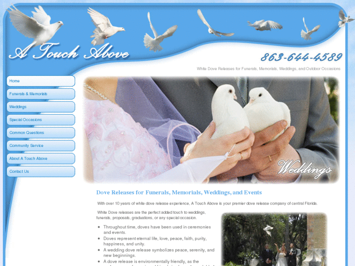 www.atouchabovedoves.com