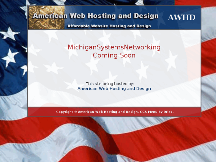 www.michigansystemsnetworking.com