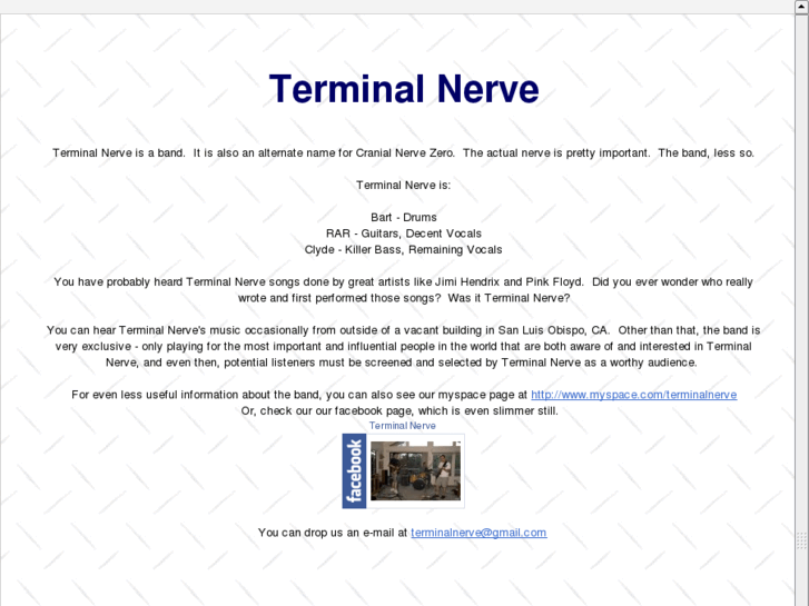 www.terminalnerve.com