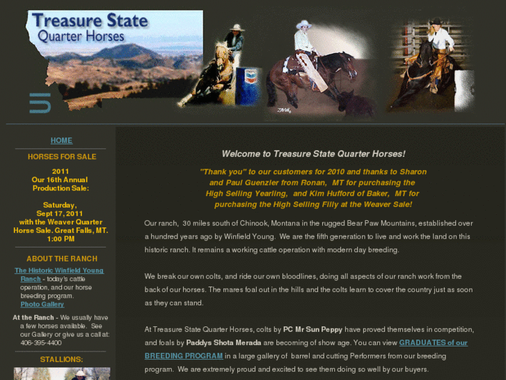 www.treasurestatequarterhorses.com