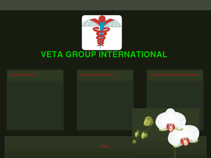 www.vetagroup.com
