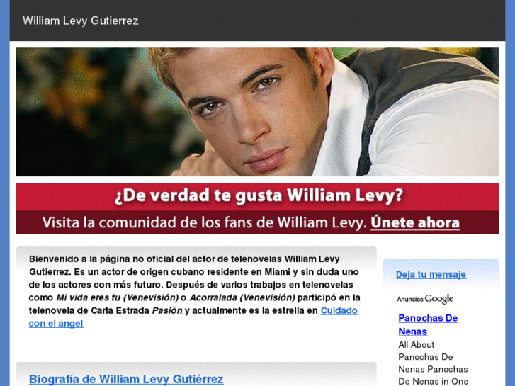 www.williamlevygutierrez.com