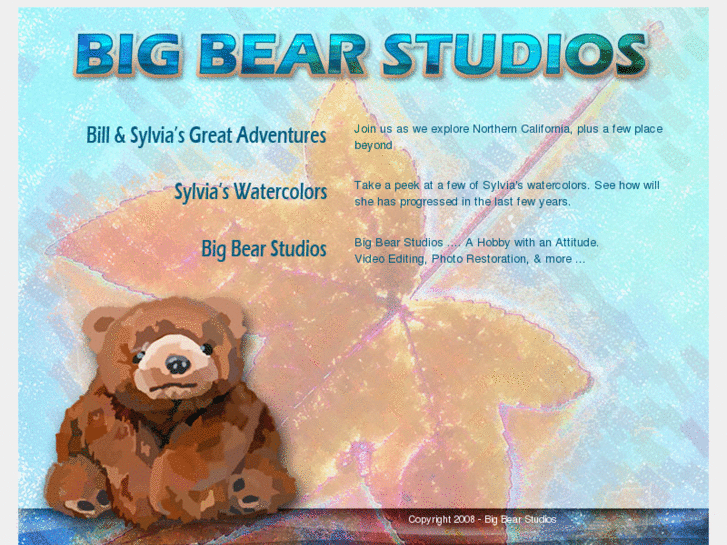 www.bigbearstudios.com