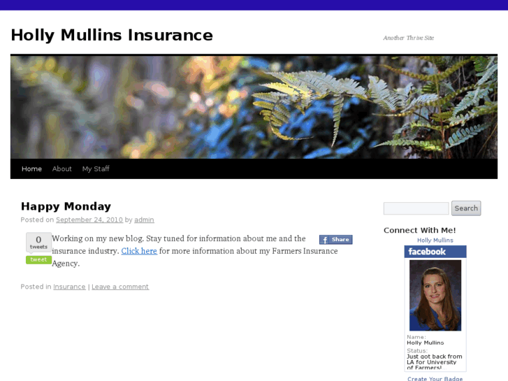 www.hollymullinsinsurance.com