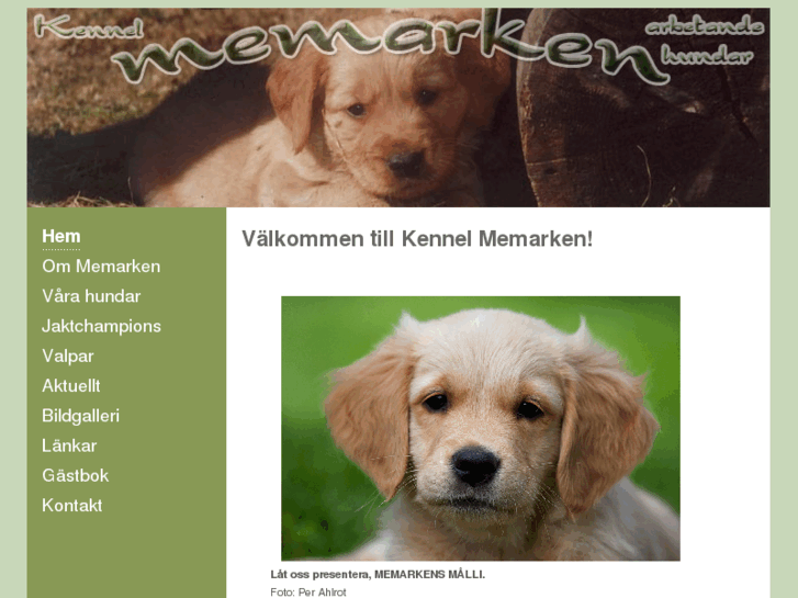 www.memarken.com